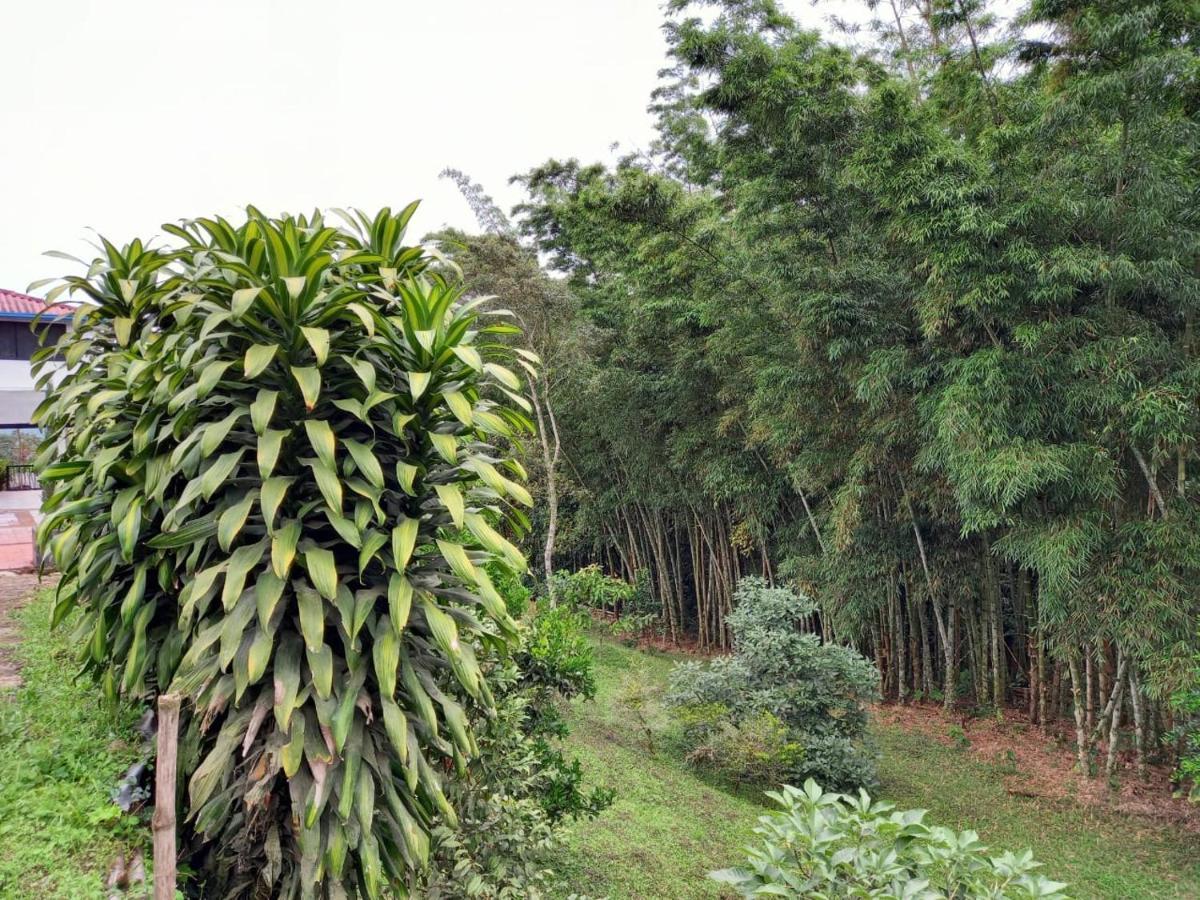 Finca Exclusiva: Eco-Retreat for Families and Friends Alban  Exterior photo