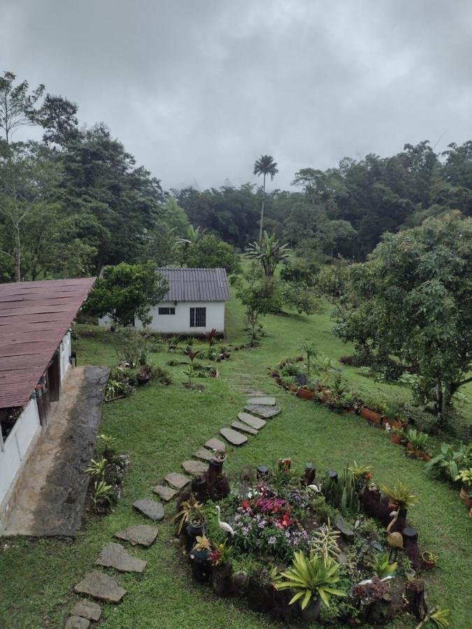 Finca Exclusiva: Eco-Retreat for Families and Friends Alban  Exterior photo